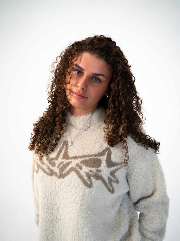 Knitted Wool DCRB Sweater