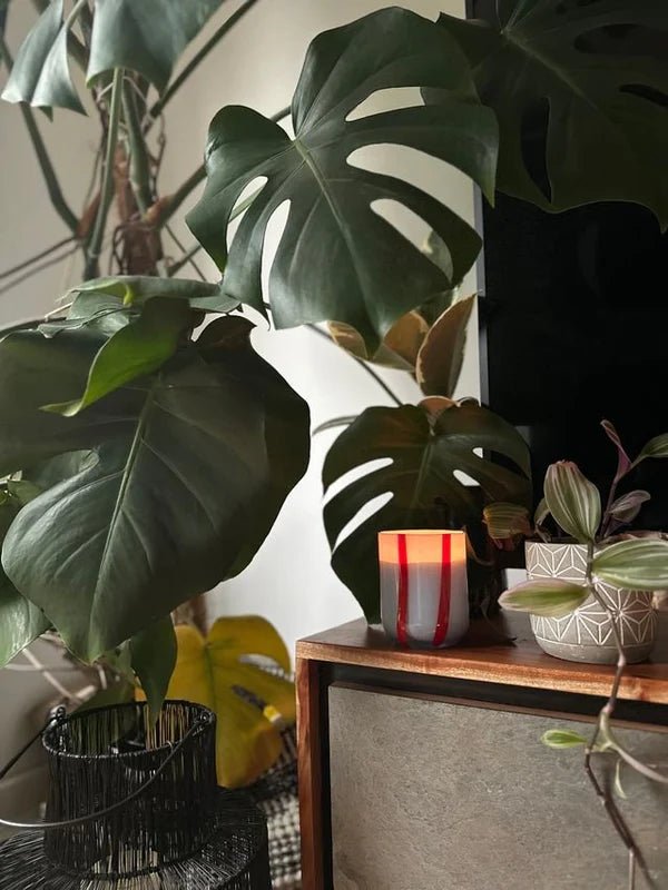 Atina Candle - Tomato & Mint Leaf - Image 2