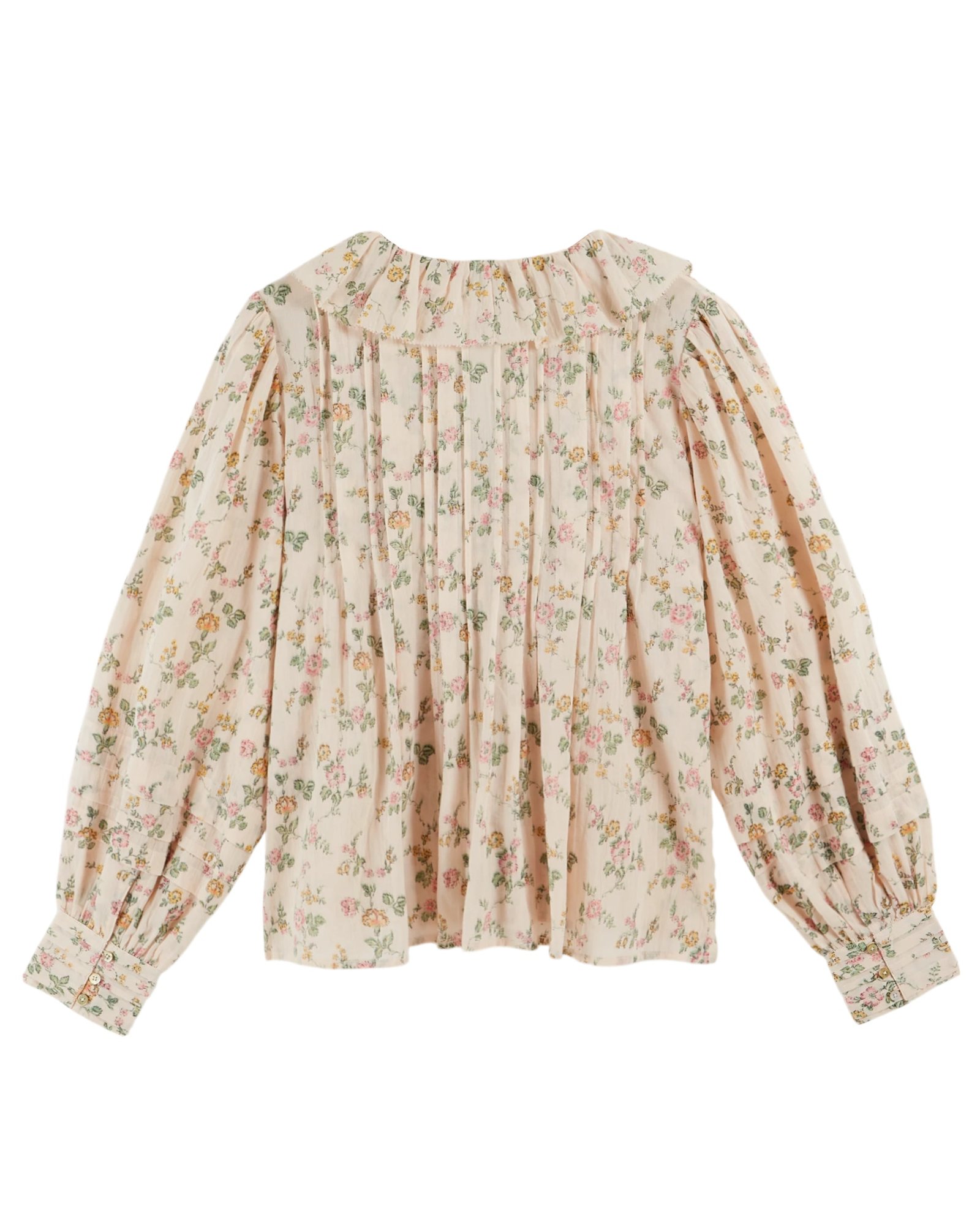 Denise - Rosier - Image 5