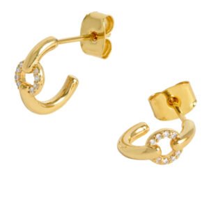 EBE6900G pave circle hoop earrings