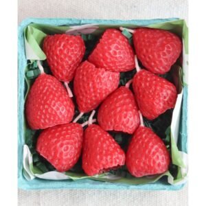 Strawberry Birthday Candles